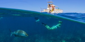 5 Best Snorkeling Spots in Kauai, With Map
