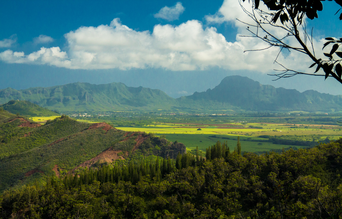 Hiking Sleeping Giant Trail (Nounou Trail) | Local Guide To Kauai