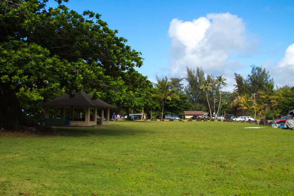 Anini Park-Plenty of open grassy space for fun family activities!