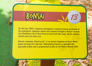 One of the interpretive signs you will see on each hole along the way while playing Mini Golf