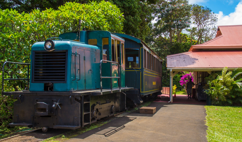 Luau Kalamaku & Plantation Train
