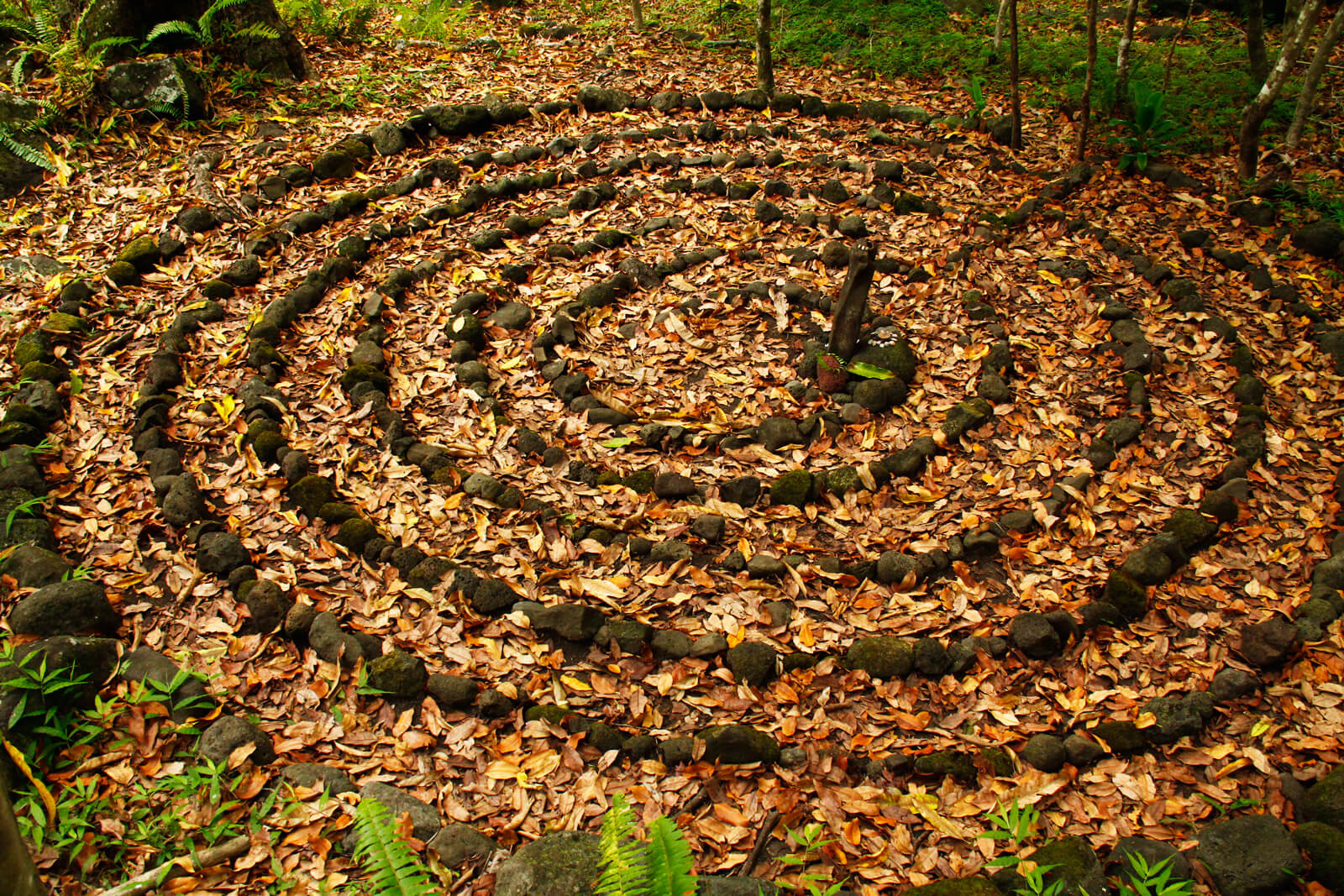 Walk the labyrinth!
