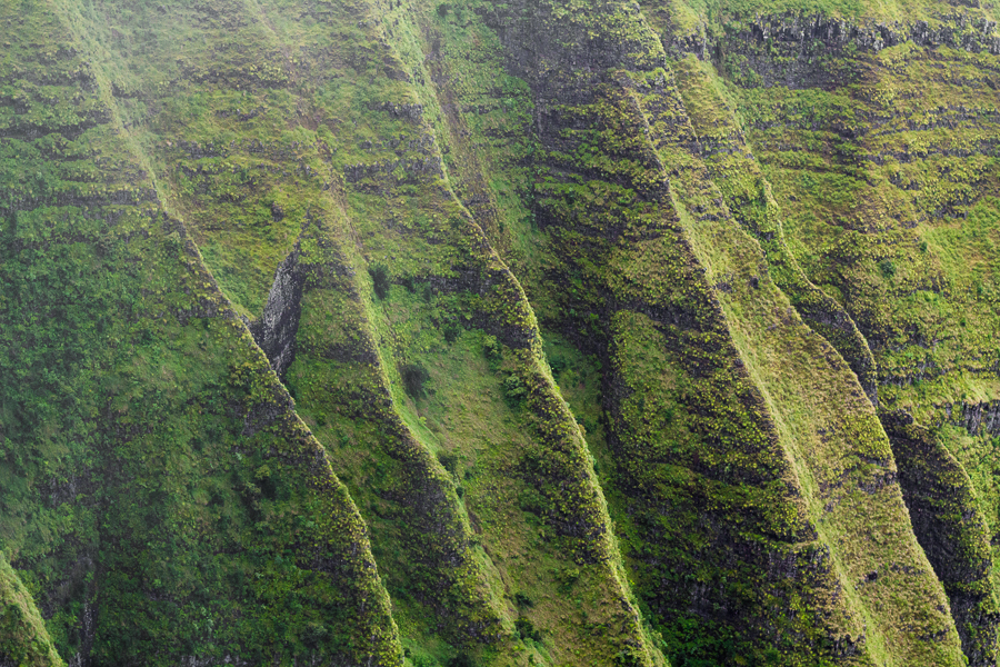 steep ridges line the nualolo valley in kokee state park, seen while hiking the na pali coast of kauai