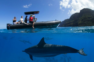 Kauai’s Wildlife: What Will You See?