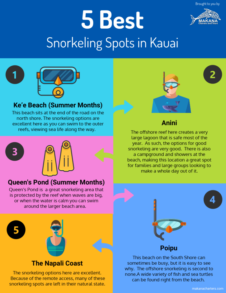 The Premier Location For Kauai Snorkeling Tours Makana Charters