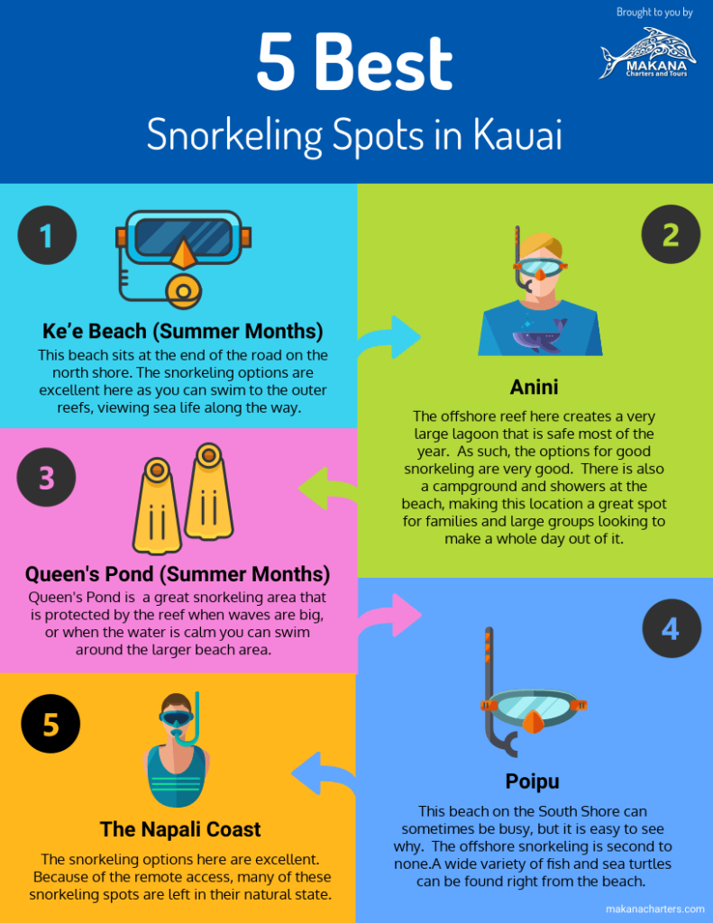 Best Snorkeling Spots in Kauai [Infographic]