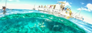 Na Pali Coast Snorkeling Tour | Makana Charters | Kauai, Hawaii