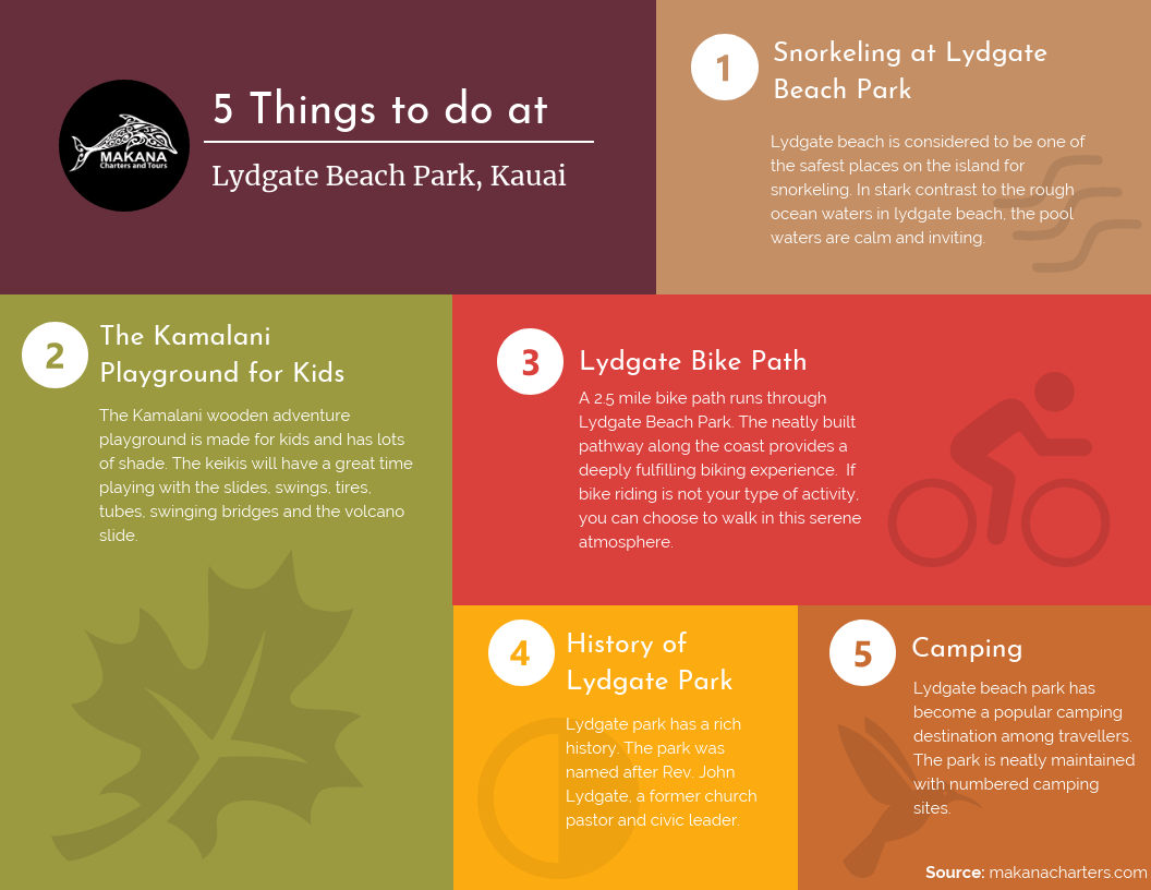 Things to do at Lydgate Beach Park [Infographic]