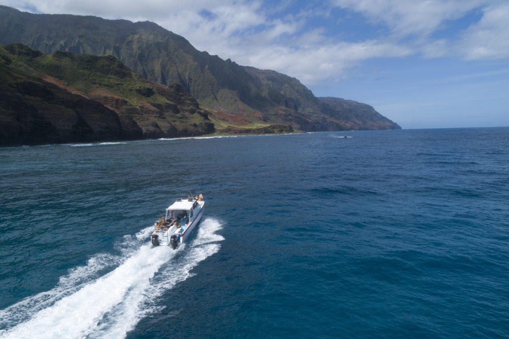 30+ Things To Do In Kauai By Category: The Local's Guide - Makana Charters Na Pali Boat Tours