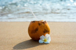 The Royal Coconut Coast of Kauai