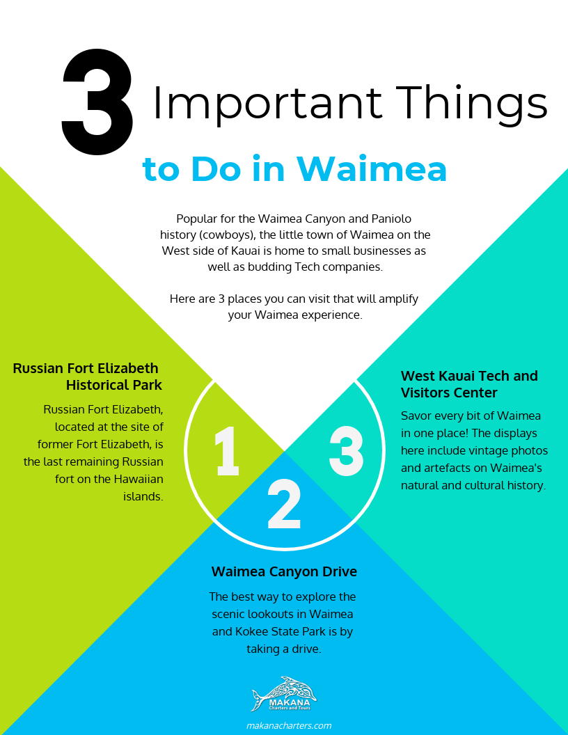 3 Important Things to Do in Waimea — Infographic