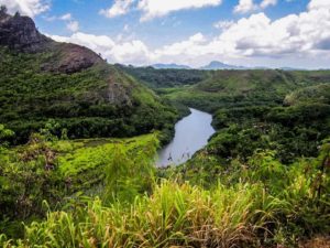 Keahua Arboretum – Pathway to the World Famous Jurassic Park Gate