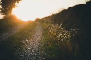 Kalepa Ridge Trail: What You Need to Know