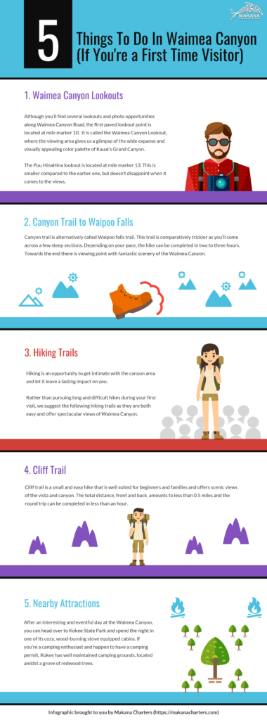 5 Things to Do in Waimea Canyon [Infographic]