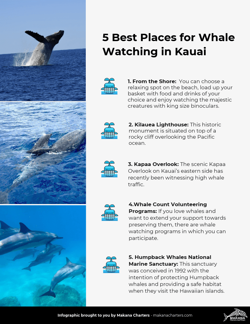 Best Places for Whale Watching in Kauai - Infographic