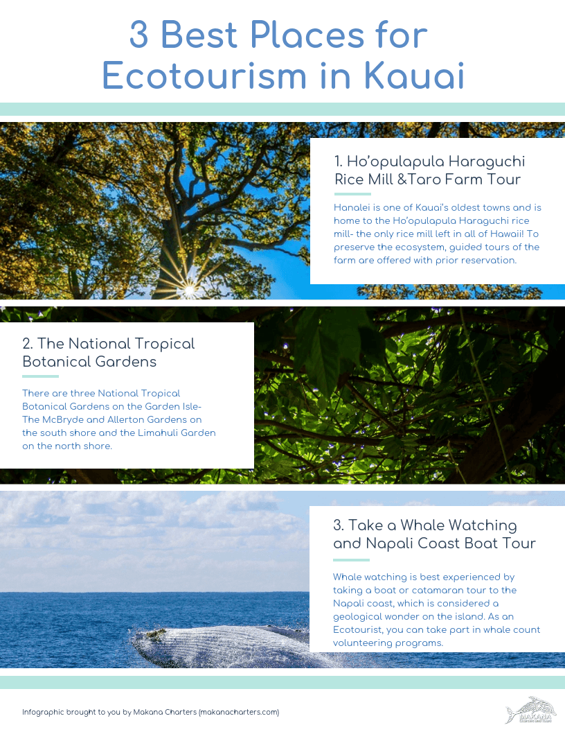3 Best Places for Ecotourism in Kauai [Infographic]