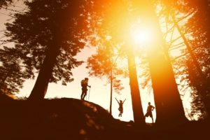 5 Best Easy Hikes in Kauai