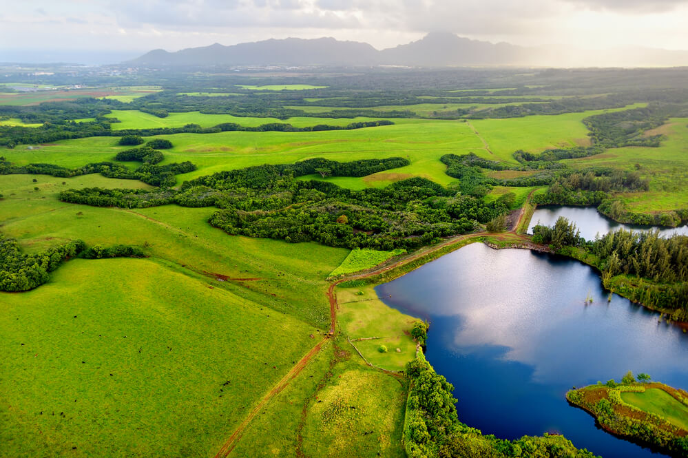 From North to South: The Ultimate Kauai Road Trip