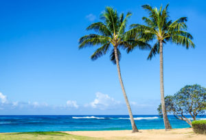 5 Best Activities to Enjoy in Poipu