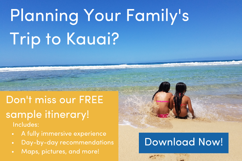 kauai whale watching tours north shore