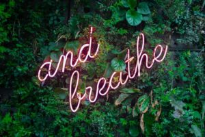 4 Best Zen and Wellness Spots in Kauai