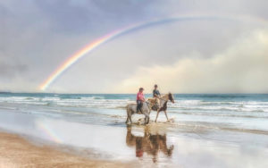 Horseback Riding in Kauai: What to Expect and Where to Go