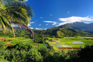 Discover Kauai’s Most Eclectic Town: A Quick Guide to the Old Kapa’a Town