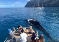 Na Pali Coast - Certificate from TripAdvisor