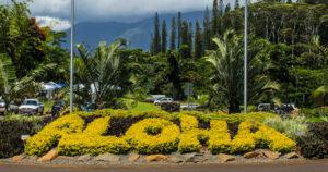 What does “Aloha” Mean? | The Local’s Guide to Kauai