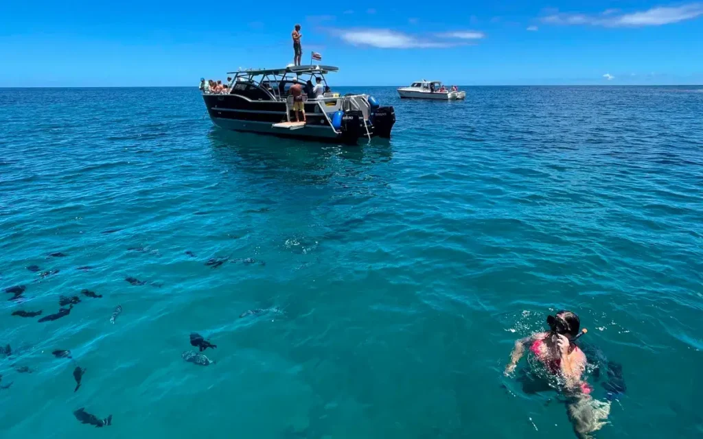 Guest snorkeling with reef fish near a Makana Charters boat on a Na Pali Coast Kauai snorkeling tour with all gear included