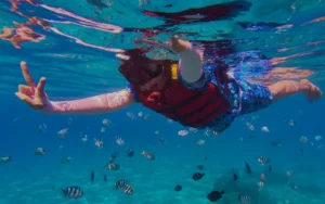 Snorkeling the Na Pali Coast: What to Expect Before You Go