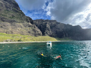 Kauai Snorkeling Tours: What to Look For in an Operator