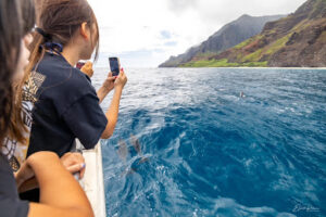 Private Catamaran Charter on Kauai: What to Know Before Booking for a Group