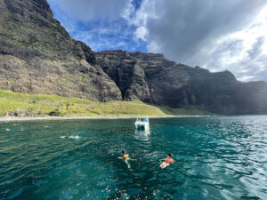 What to Look for When Booking Safe, Family-Friendly Kauai Snorkeling Tours