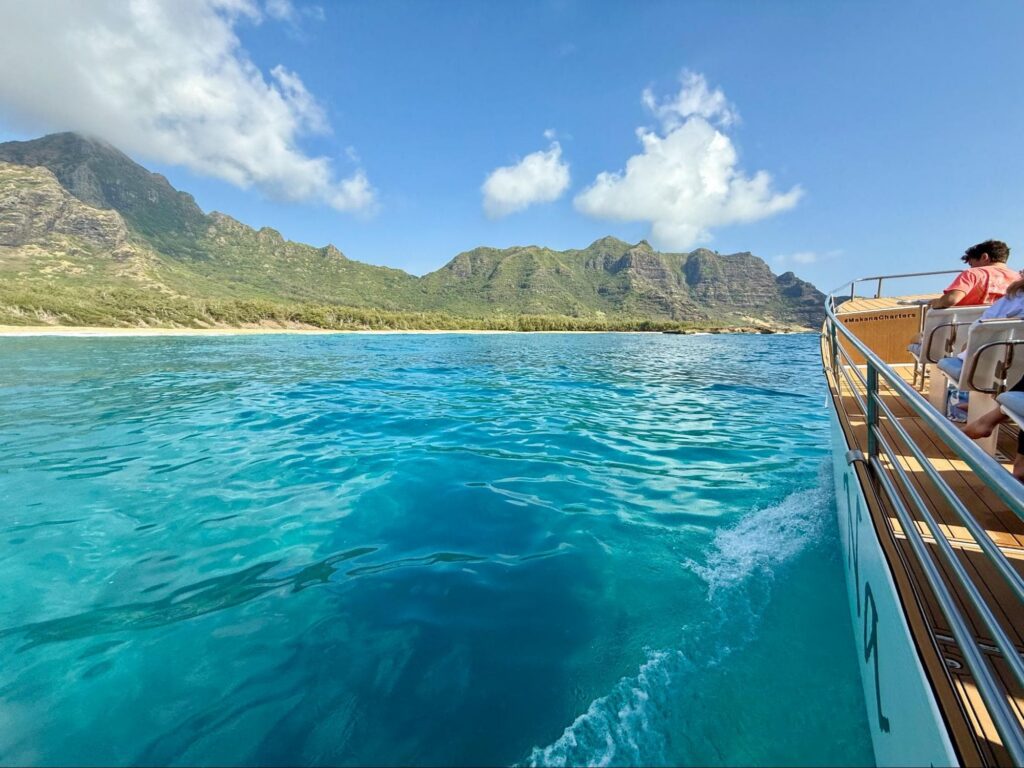 morning or afternoon snorkeling