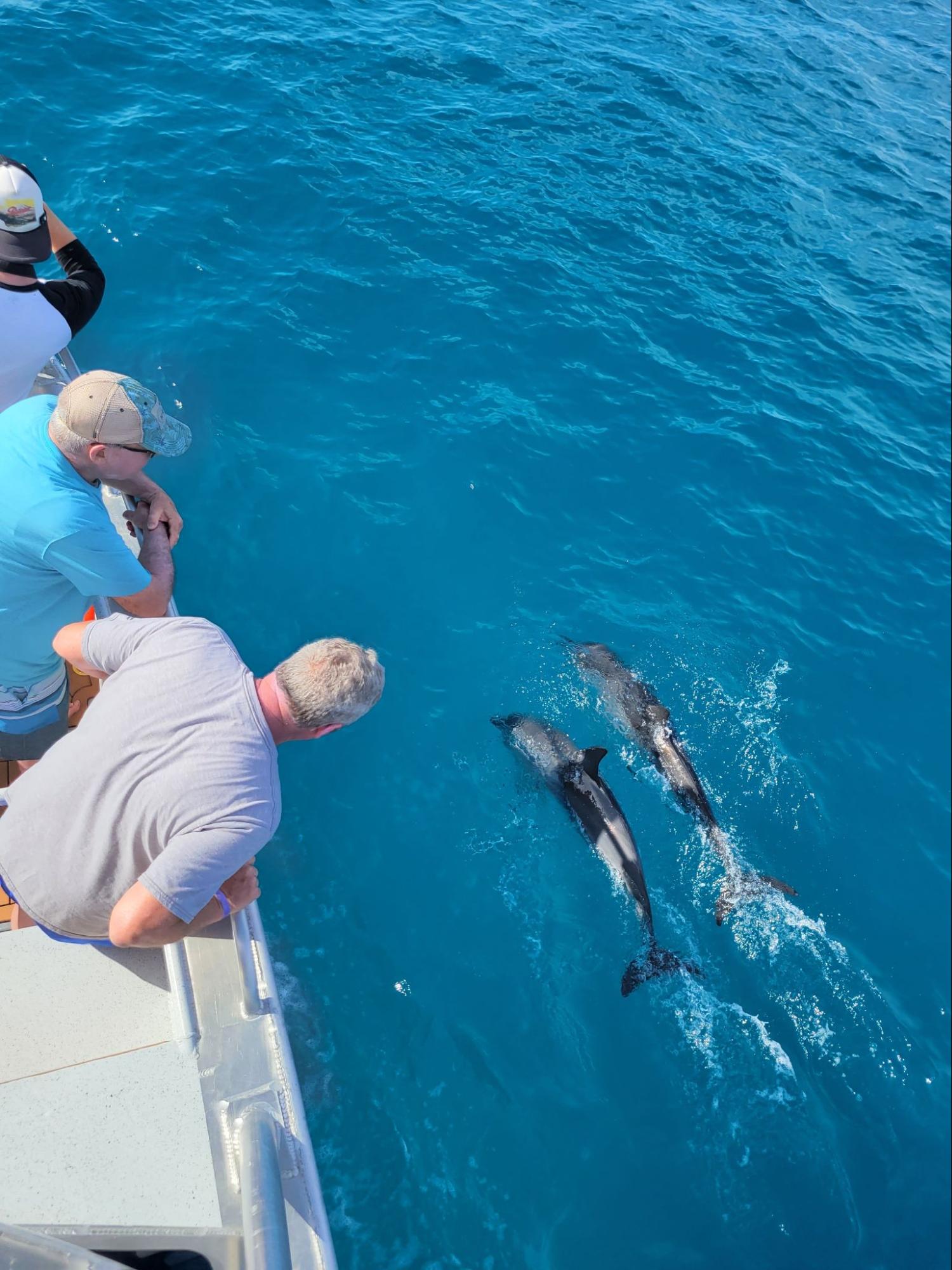 book na pali coast snorkel tour
