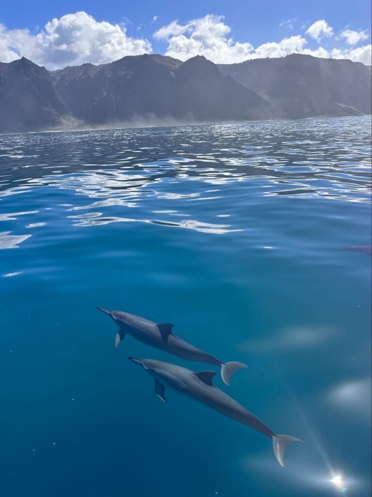 book private na pali coast charter