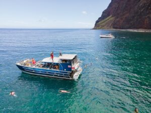 Sea Caves and Coral Reefs: A Snorkeler’s Map of Kauai’s North Shore
