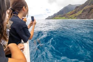 What to Pack for a Na Pali Coast Snorkel Tour: Gear, Reef-Safe Sunscreen, and Essentials